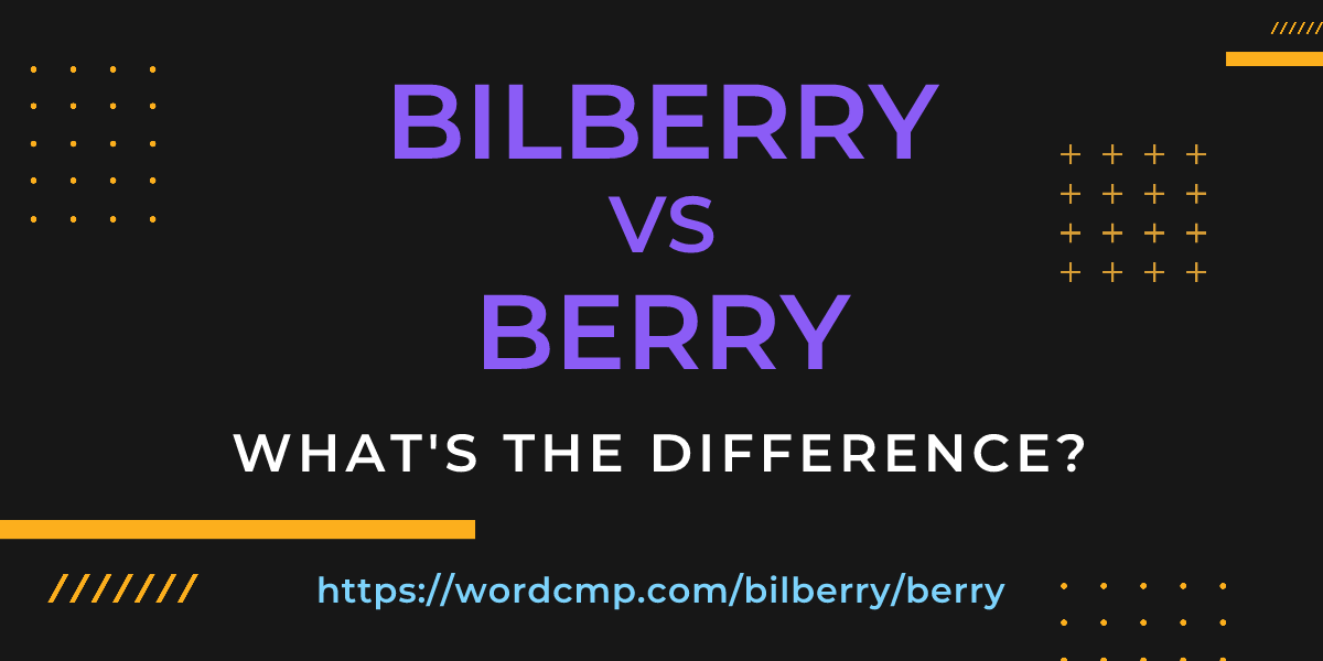 Difference between bilberry and berry