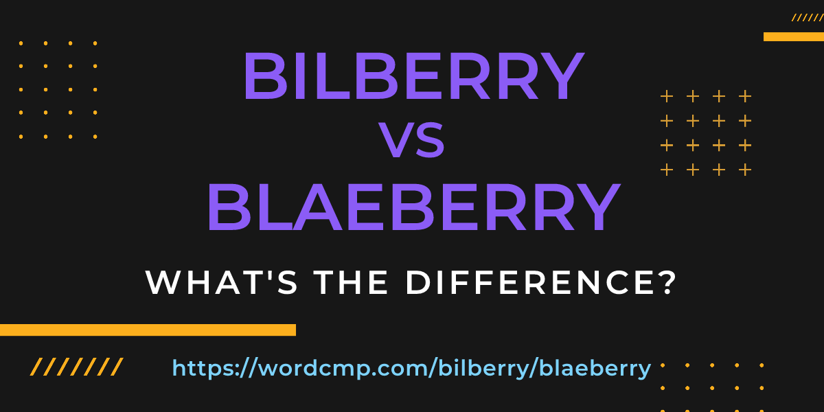 Difference between bilberry and blaeberry