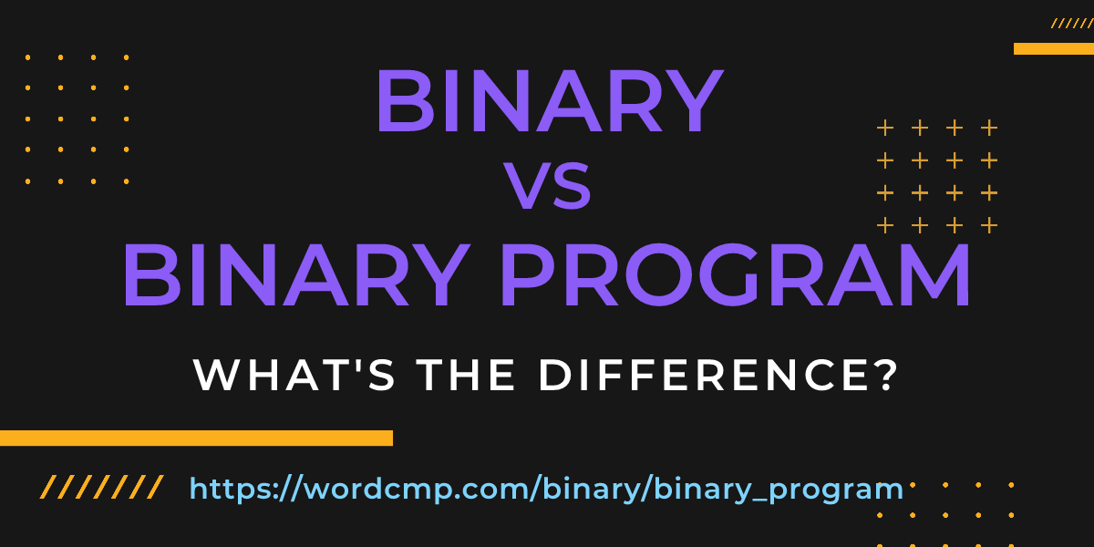 Difference between binary and binary program