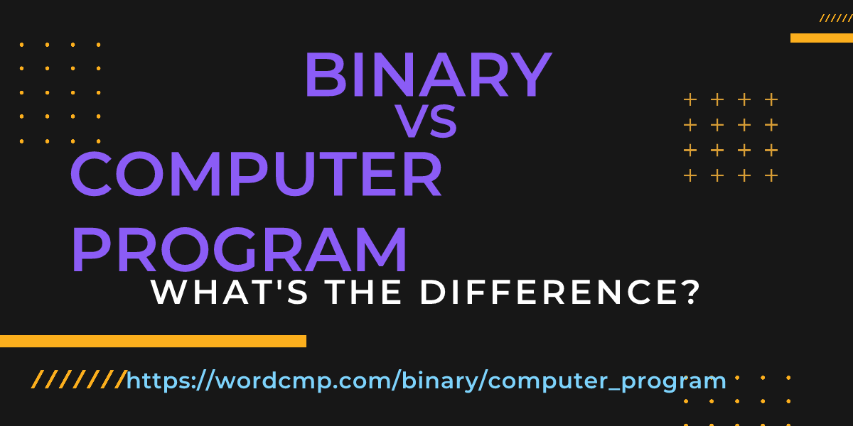 Difference between binary and computer program