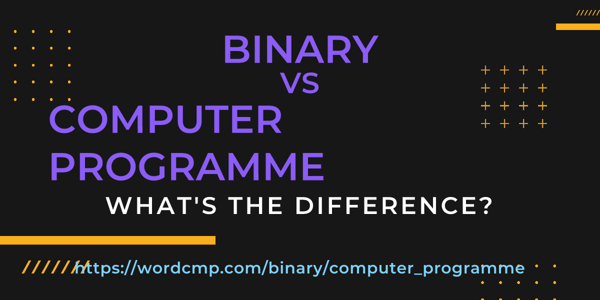 Difference between binary and computer programme