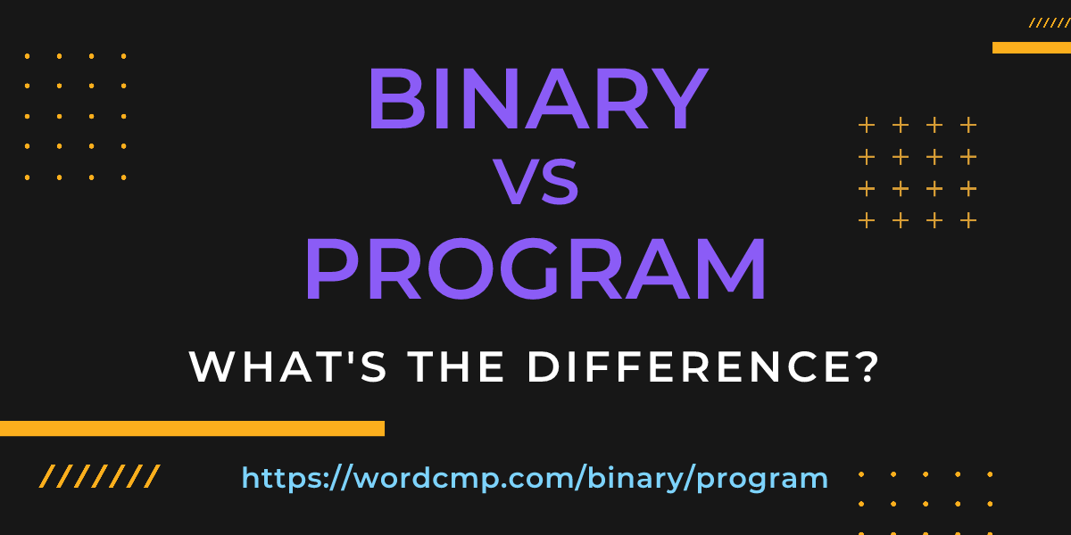 Difference between binary and program