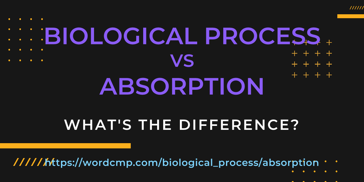 Difference between biological process and absorption
