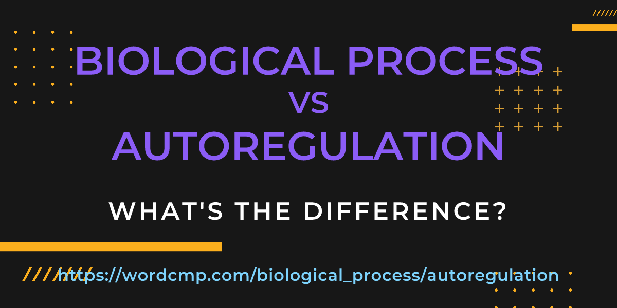 Difference between biological process and autoregulation