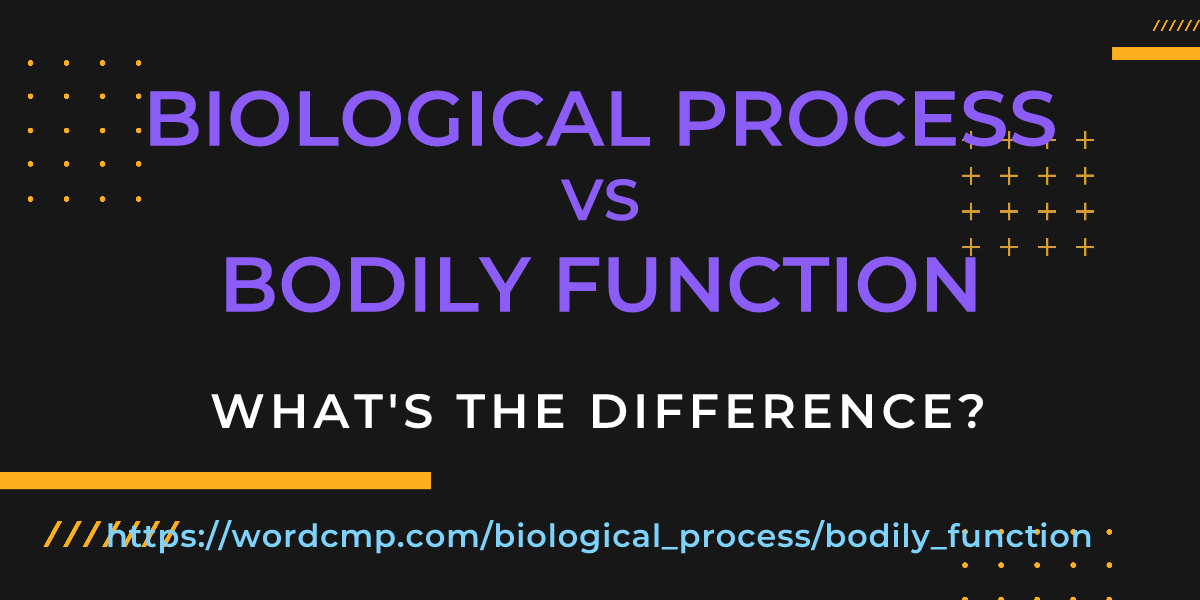 Difference between biological process and bodily function