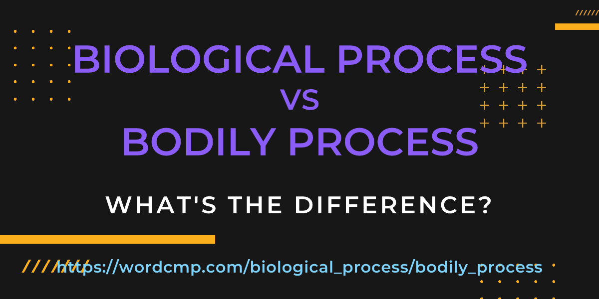 Difference between biological process and bodily process