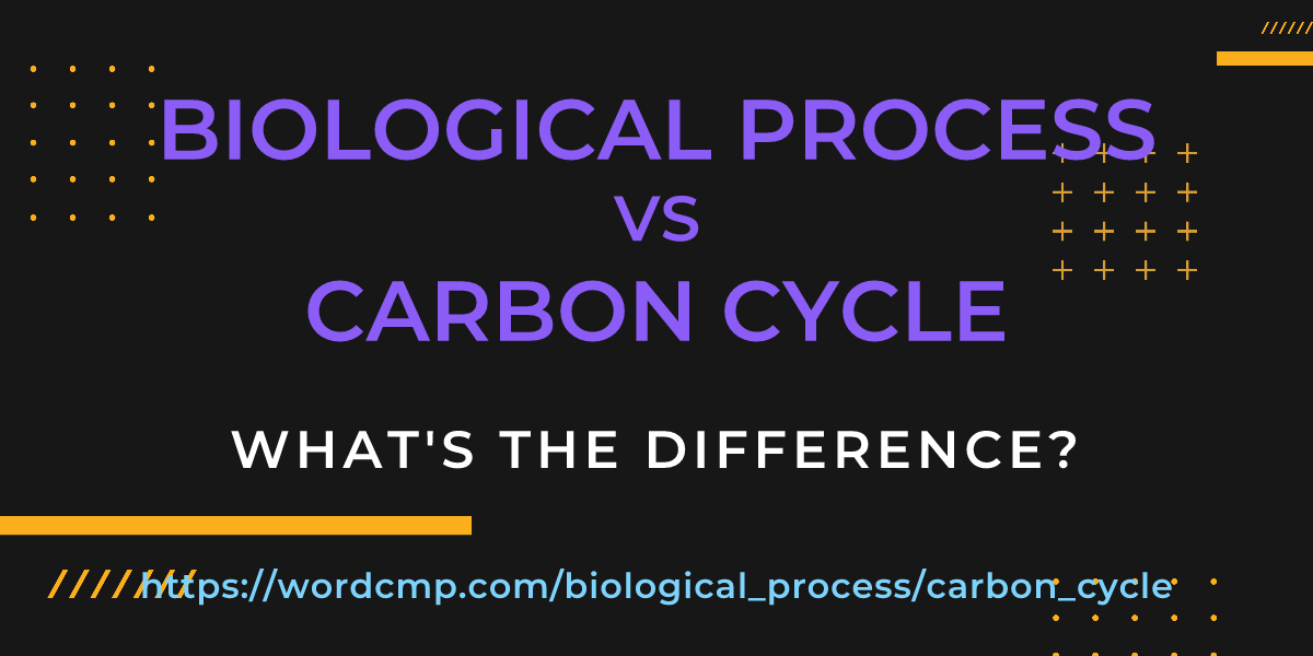 Difference between biological process and carbon cycle