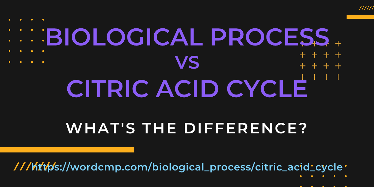 Difference between biological process and citric acid cycle