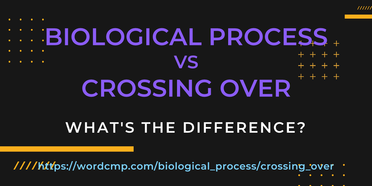 Difference between biological process and crossing over