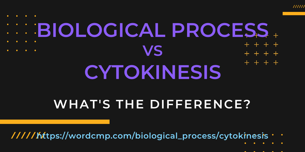 Difference between biological process and cytokinesis