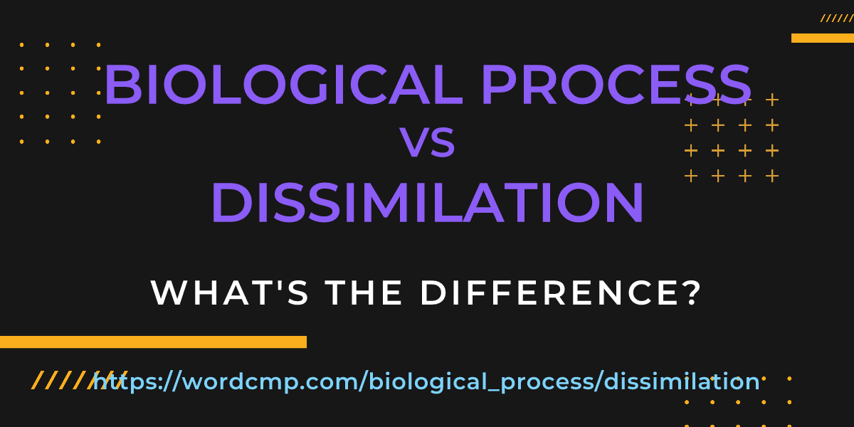 Difference between biological process and dissimilation