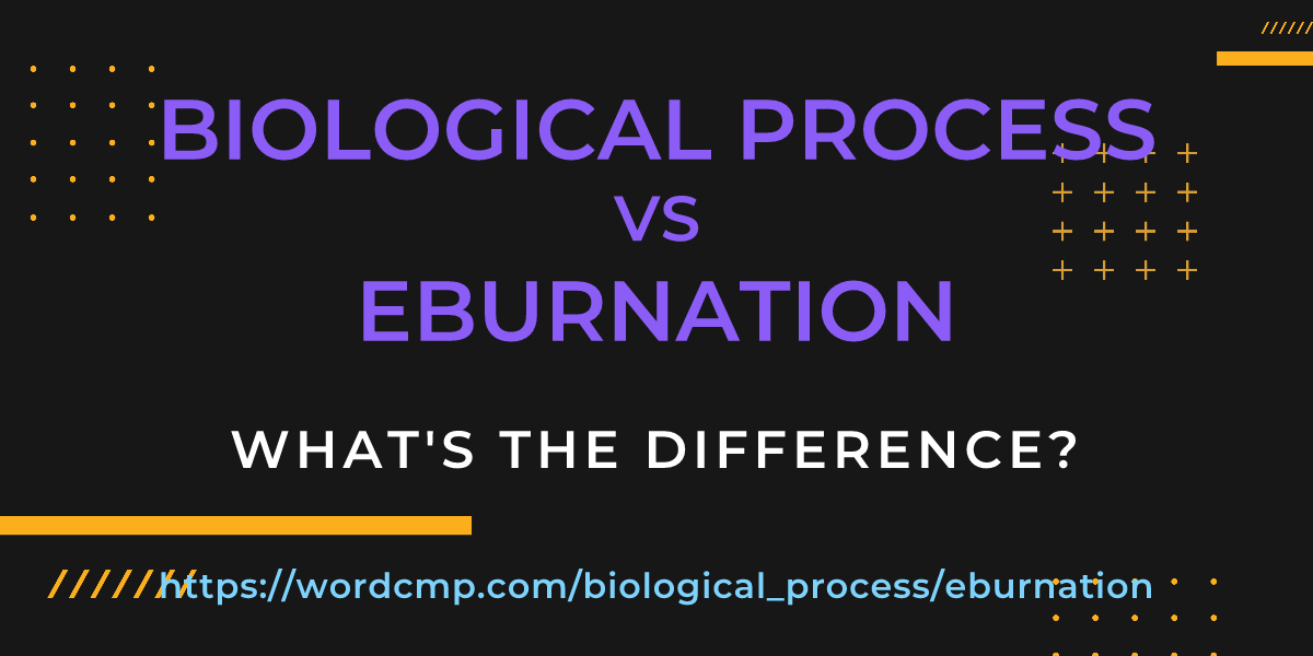 Difference between biological process and eburnation
