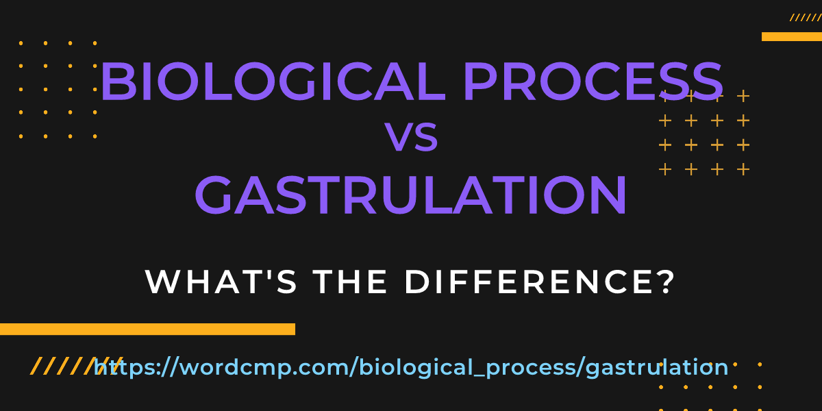 Difference between biological process and gastrulation