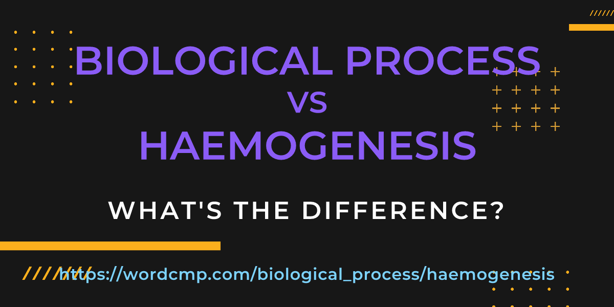 Difference between biological process and haemogenesis