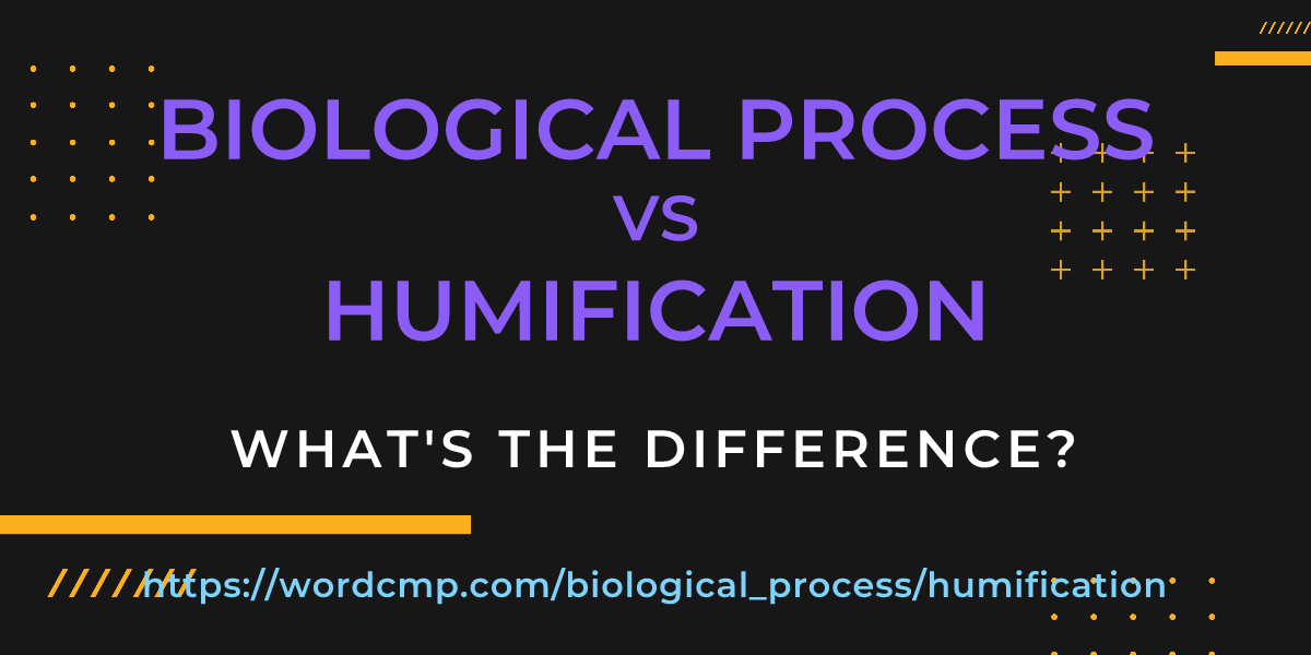 Difference between biological process and humification