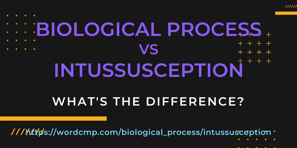 Difference between biological process and intussusception