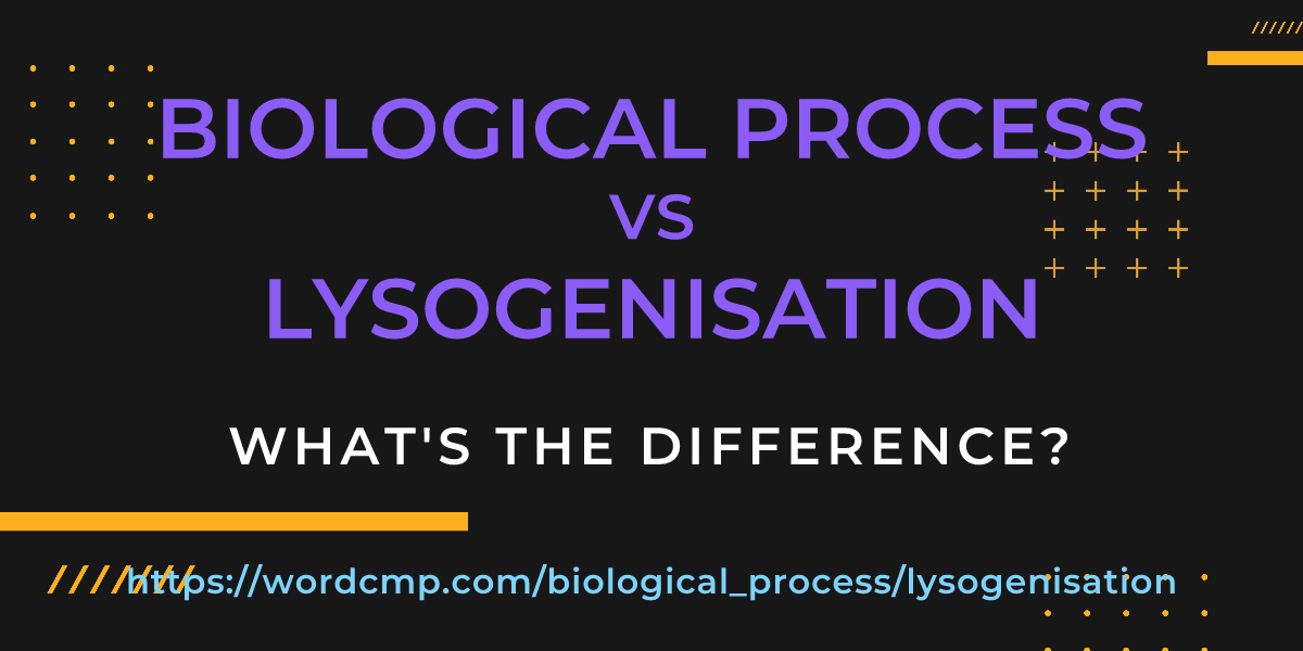 Difference between biological process and lysogenisation