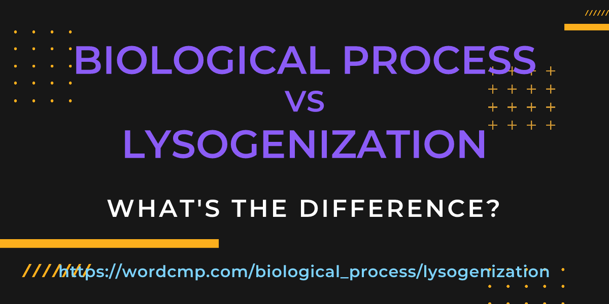 Difference between biological process and lysogenization