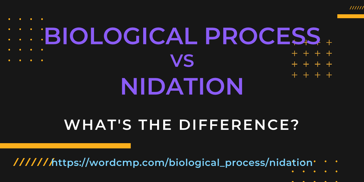 Difference between biological process and nidation