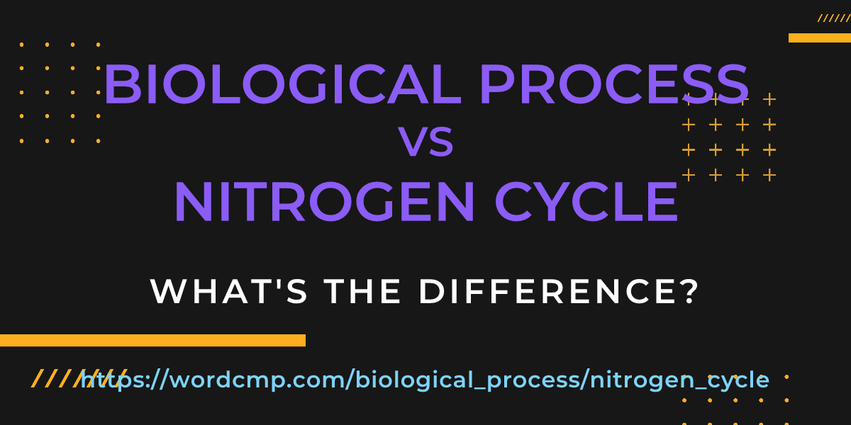 Difference between biological process and nitrogen cycle