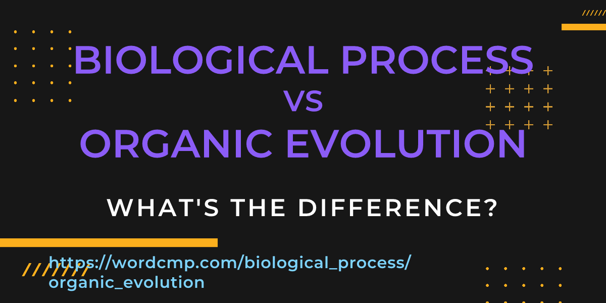 Difference between biological process and organic evolution