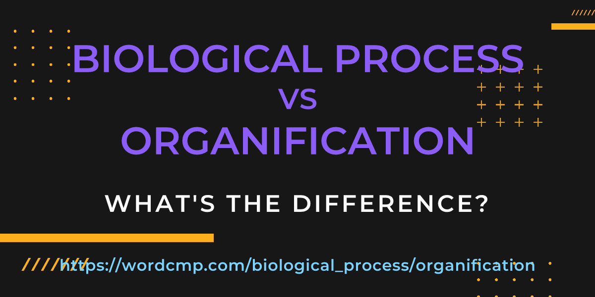 Difference between biological process and organification