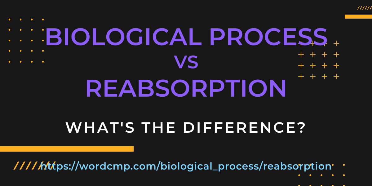 Difference between biological process and reabsorption