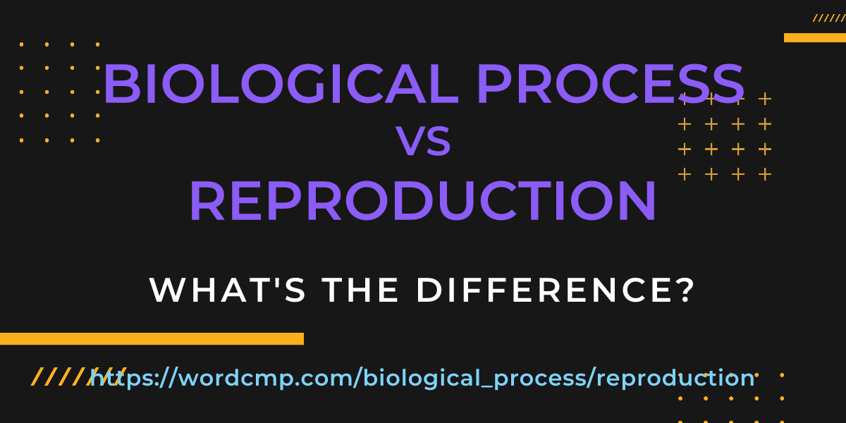 Difference between biological process and reproduction