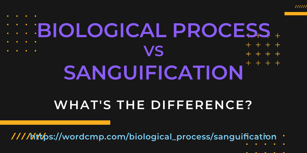 Difference between biological process and sanguification