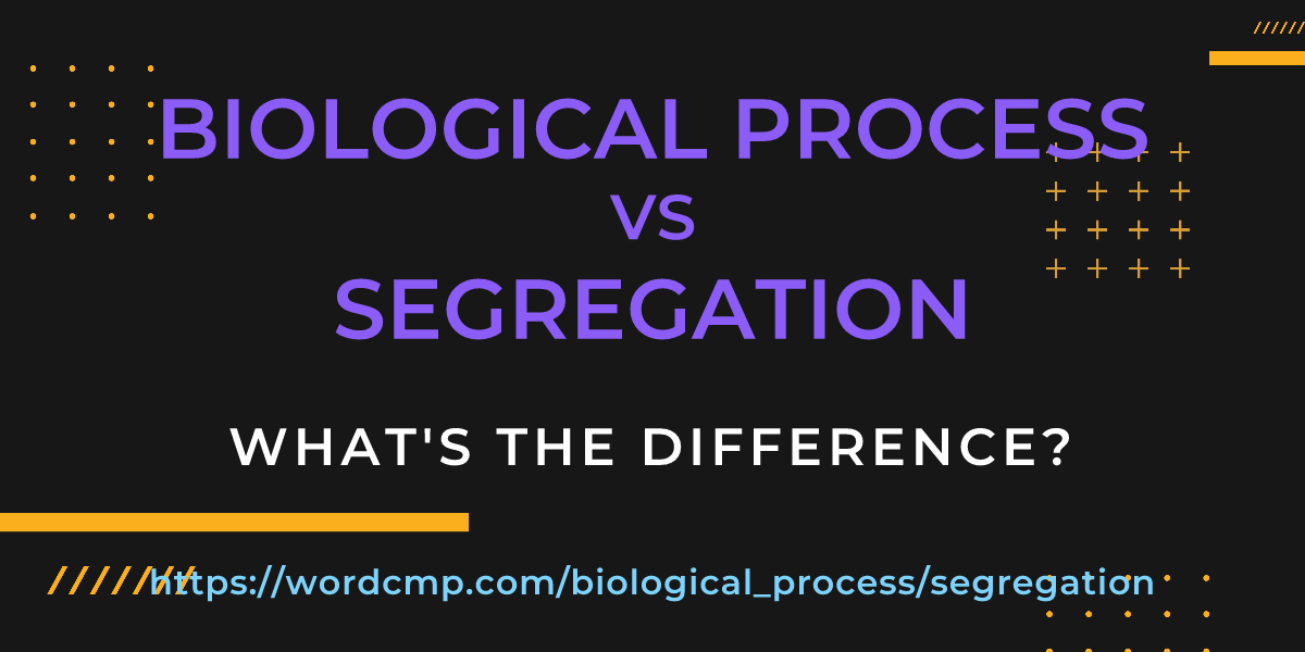 Difference between biological process and segregation
