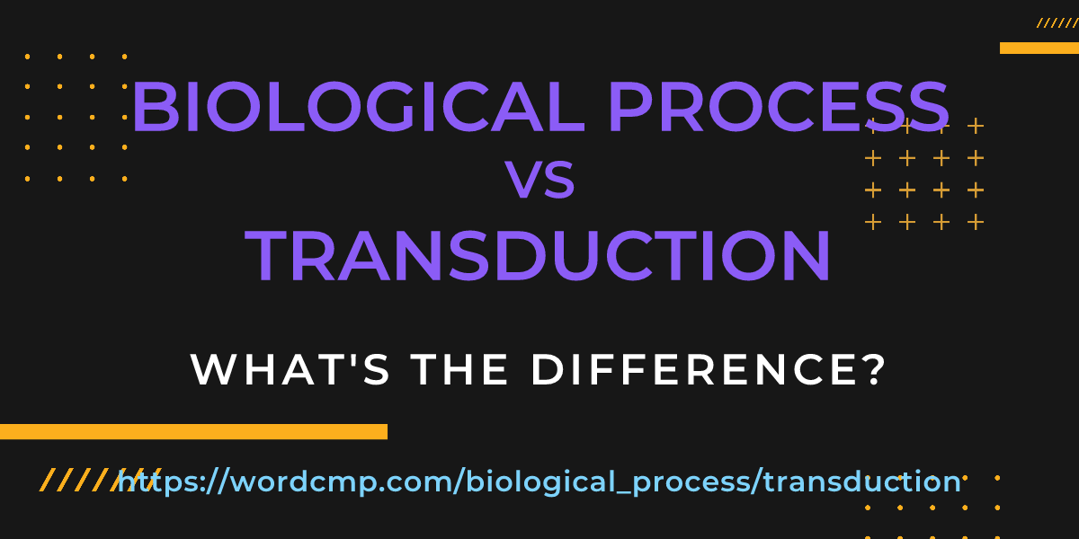 Difference between biological process and transduction