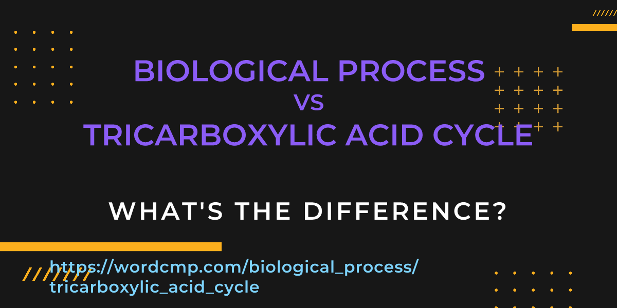 Difference between biological process and tricarboxylic acid cycle