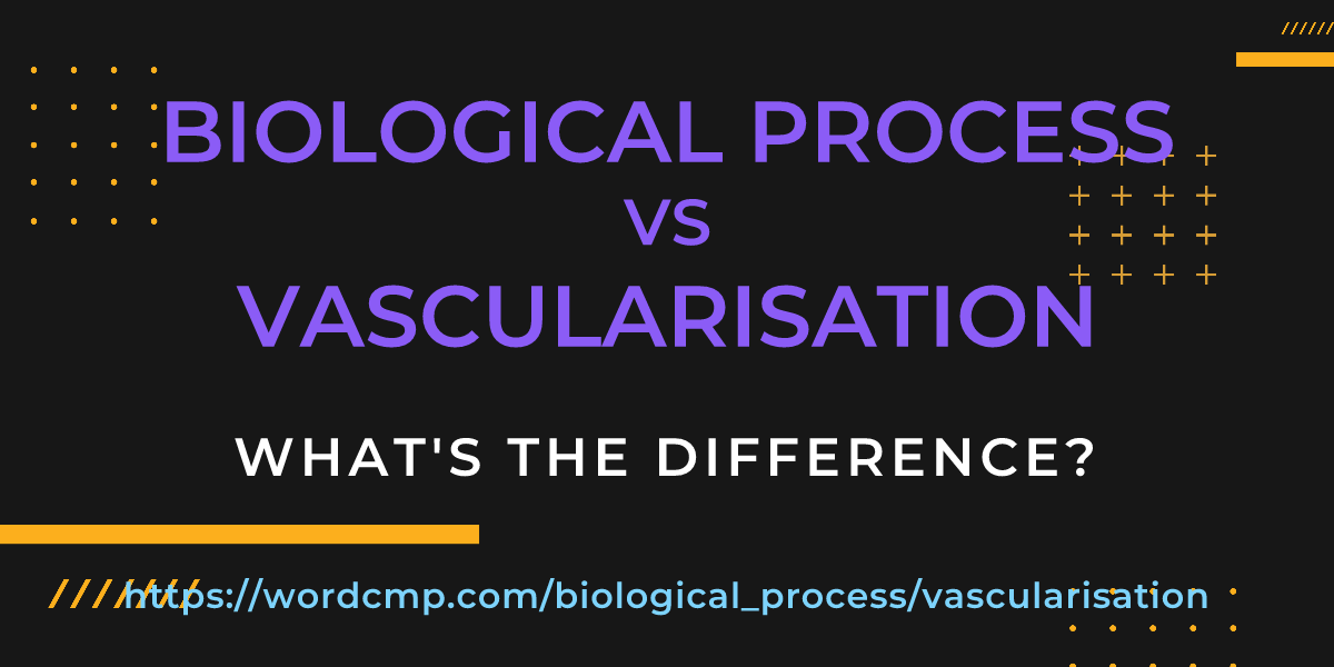 Difference between biological process and vascularisation