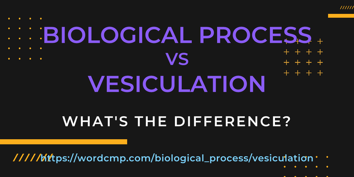 Difference between biological process and vesiculation