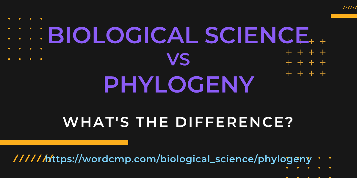 Difference between biological science and phylogeny