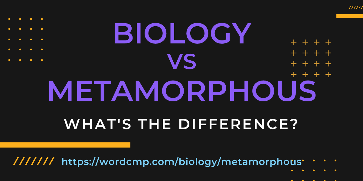 Difference between biology and metamorphous