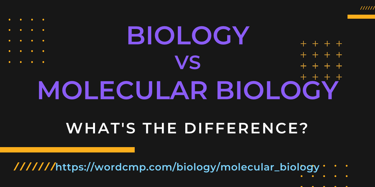 Difference between biology and molecular biology