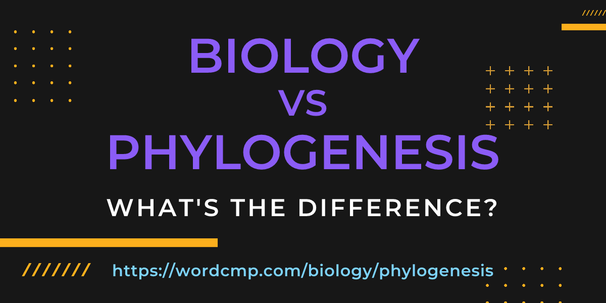 Difference between biology and phylogenesis
