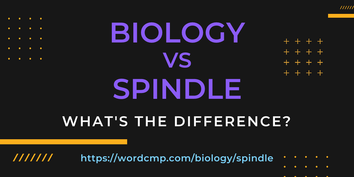 Difference between biology and spindle