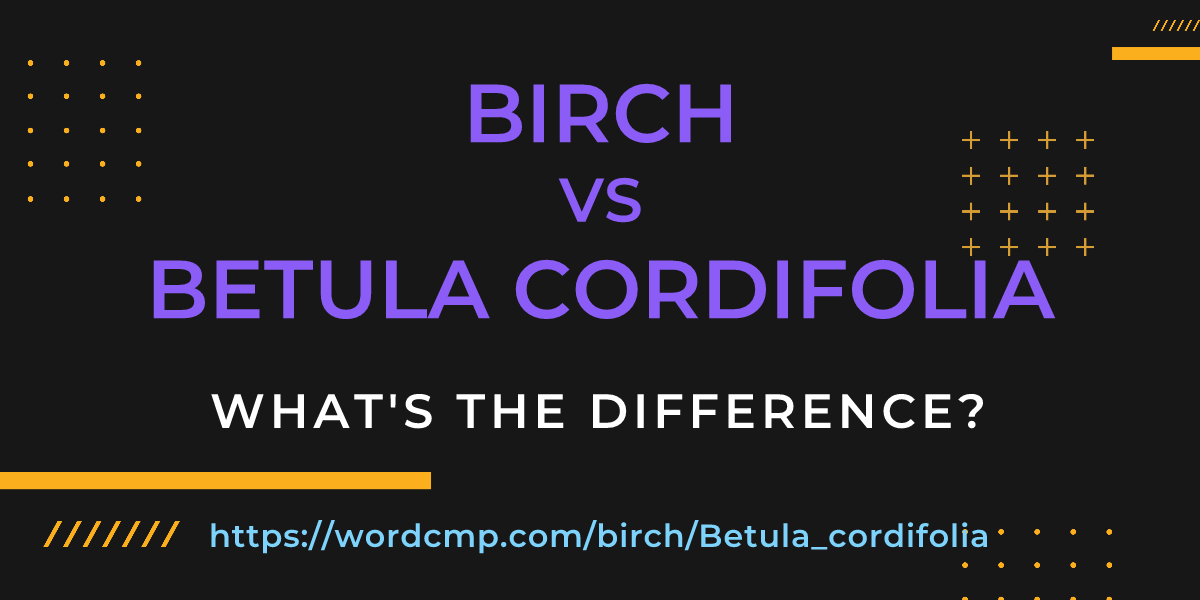 Difference between birch and Betula cordifolia