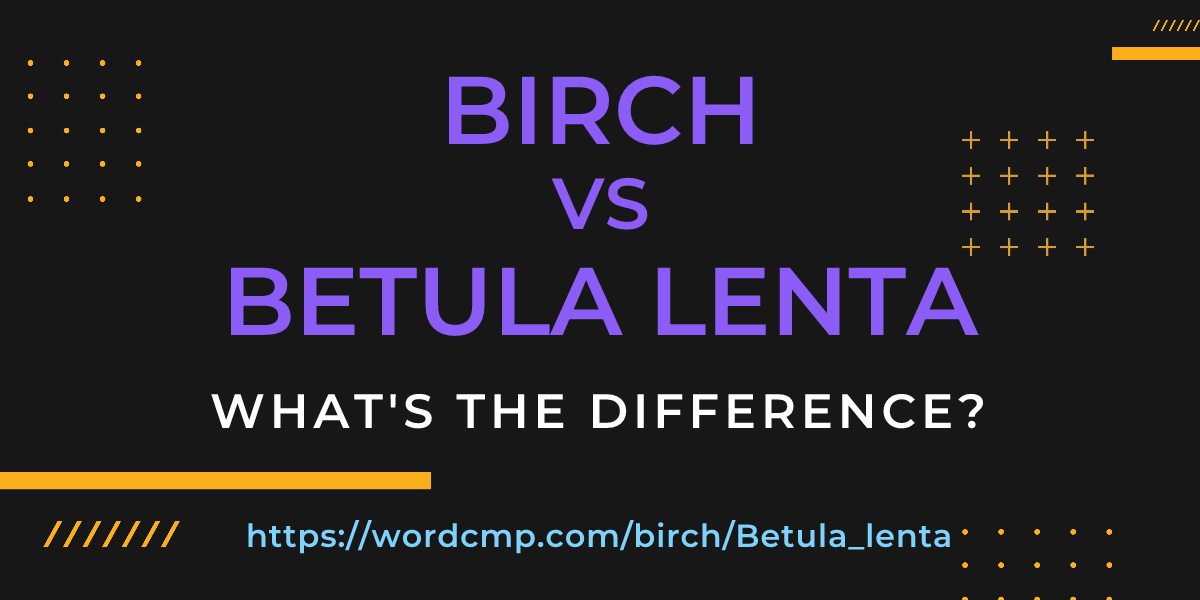 Difference between birch and Betula lenta