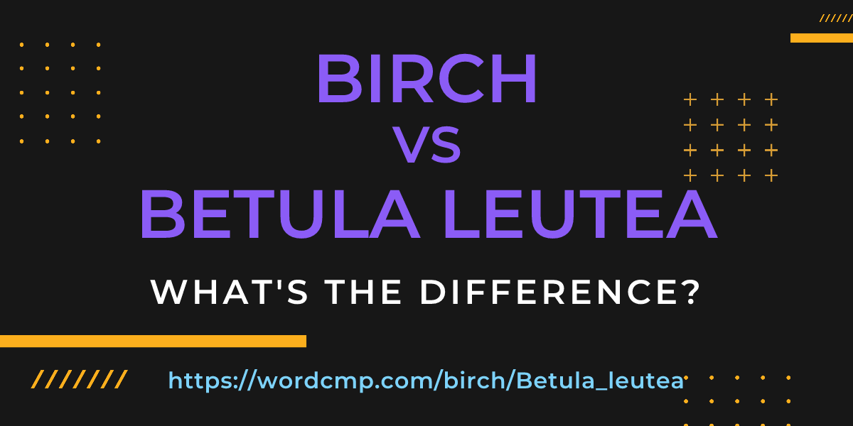 Difference between birch and Betula leutea