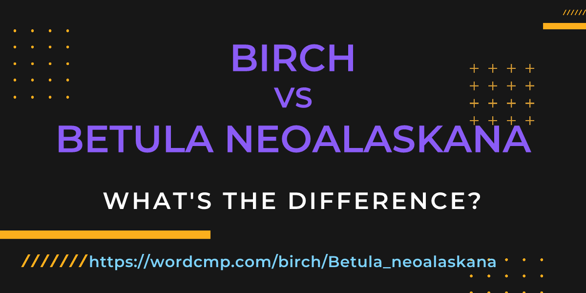 Difference between birch and Betula neoalaskana