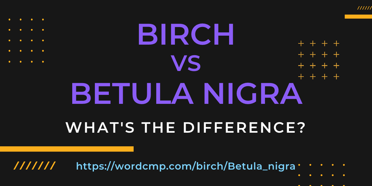 Difference between birch and Betula nigra