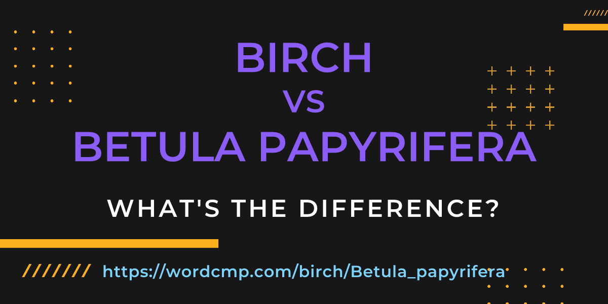 Difference between birch and Betula papyrifera