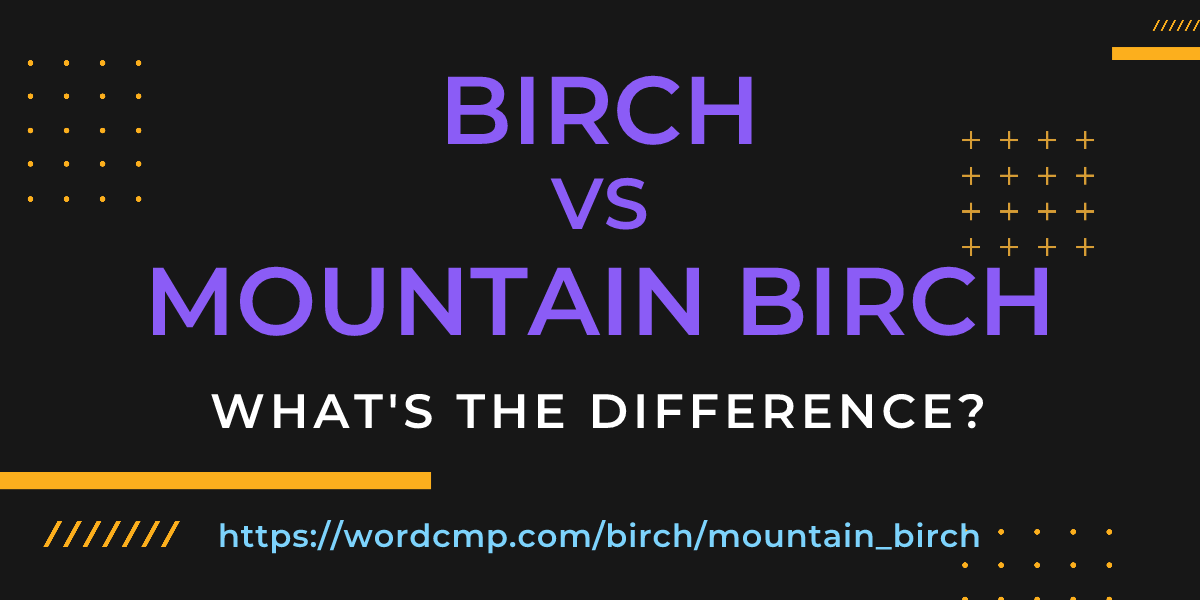 Difference between birch and mountain birch