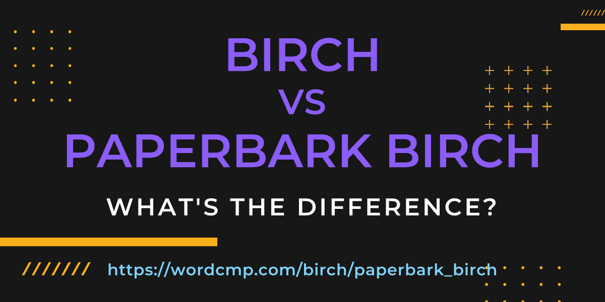 Difference between birch and paperbark birch