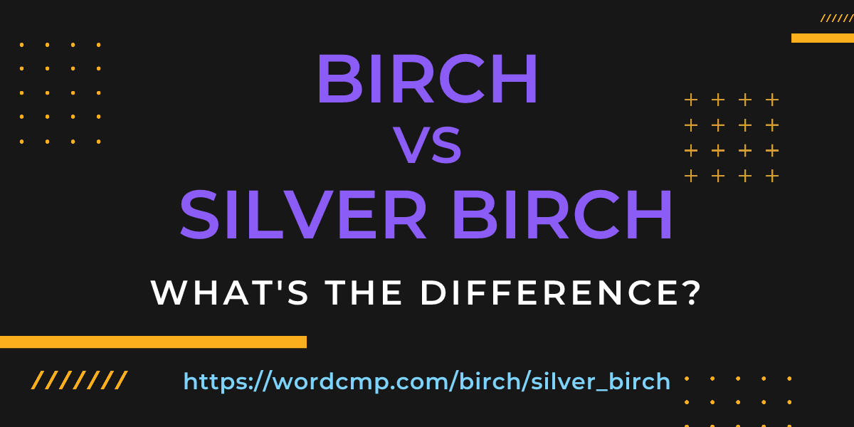 Difference between birch and silver birch