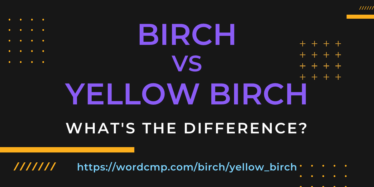 Difference between birch and yellow birch