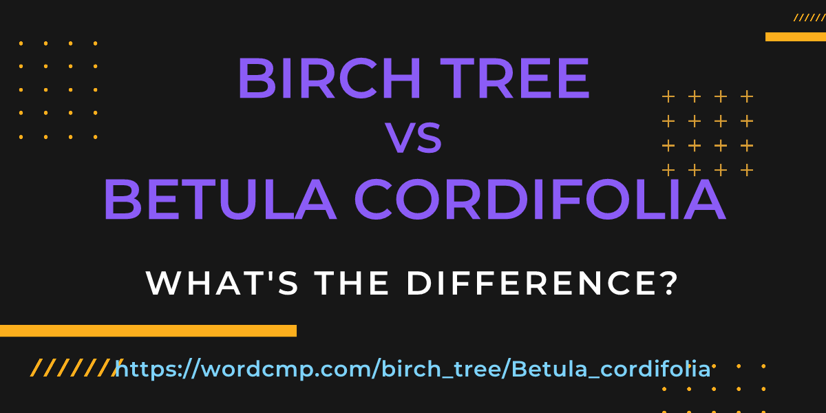 Difference between birch tree and Betula cordifolia